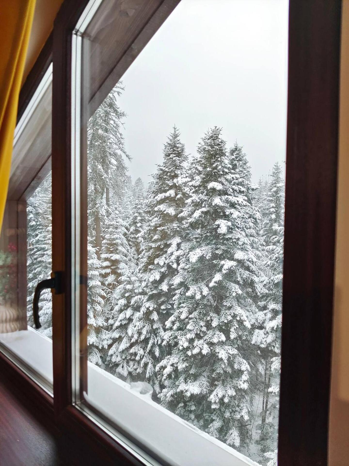 Borovets Dream Studio المظهر الخارجي الصورة