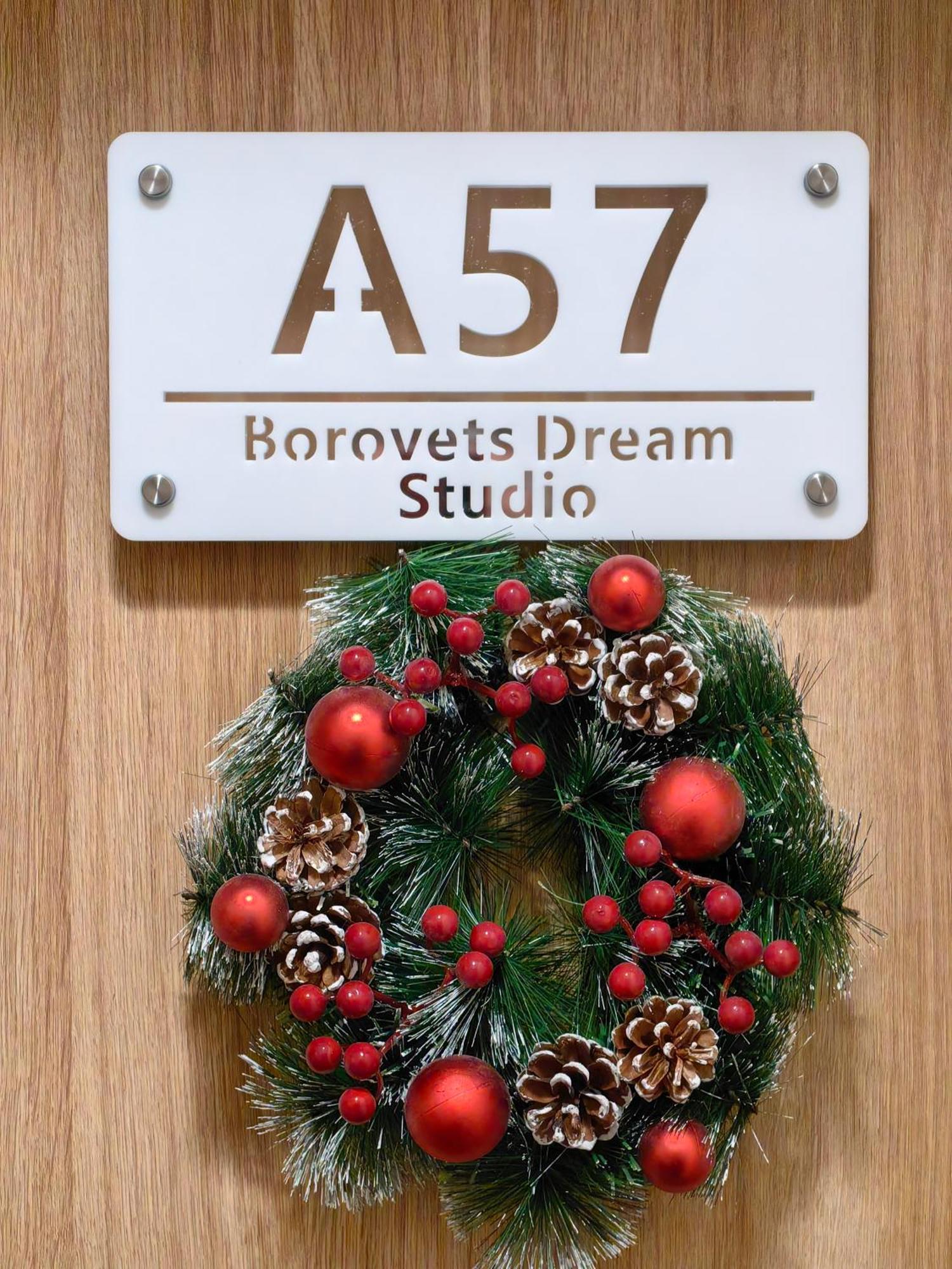 Borovets Dream Studio المظهر الخارجي الصورة